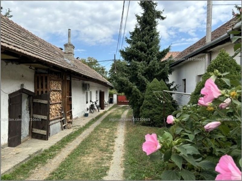 Ingatlan kép