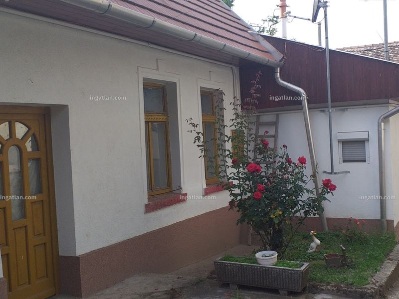 Ingatlan kép