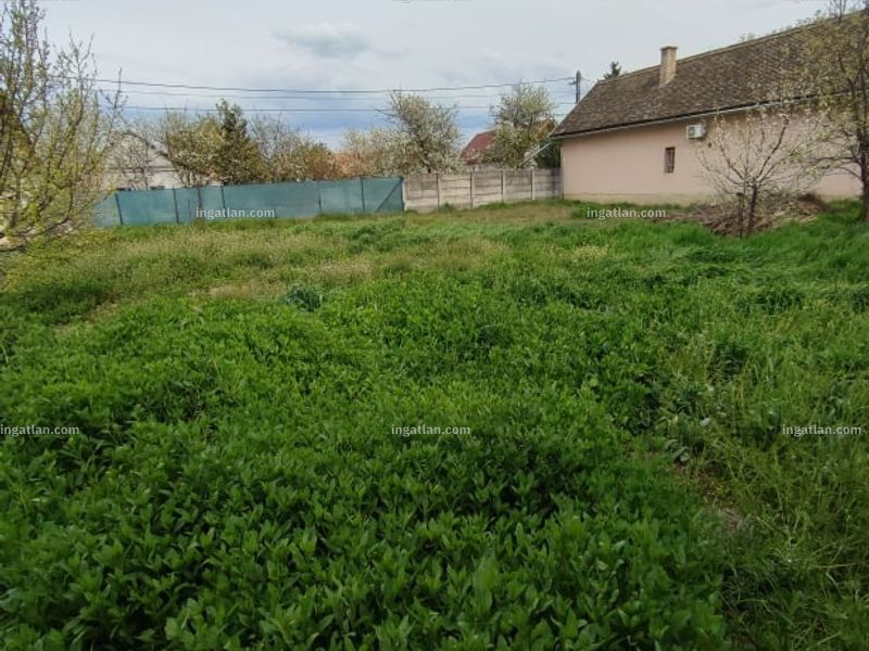 Ingatlan kép