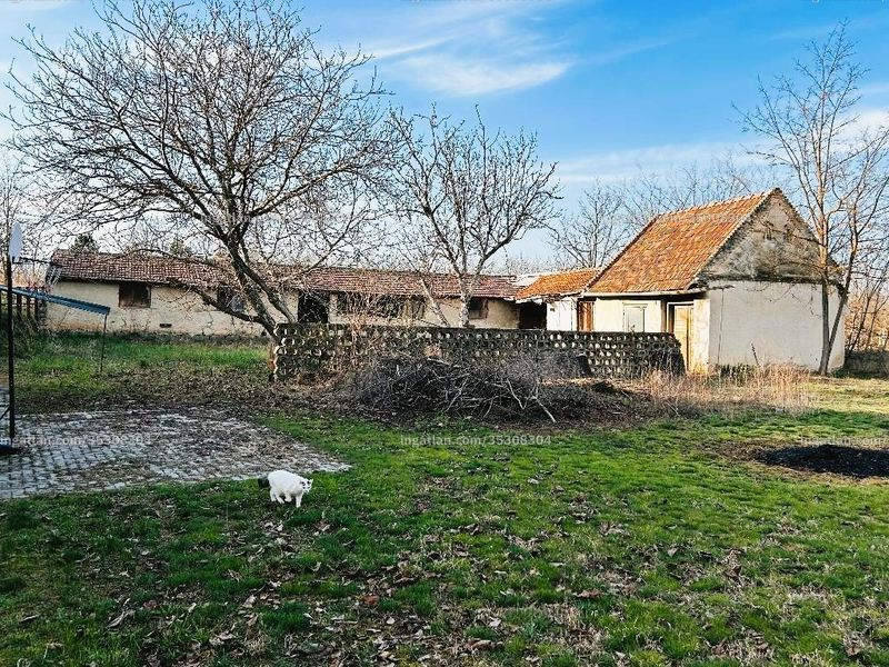 Ingatlan kép