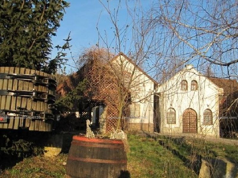 Ingatlan kép