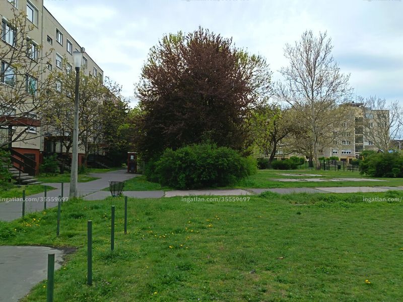 Ingatlan kép