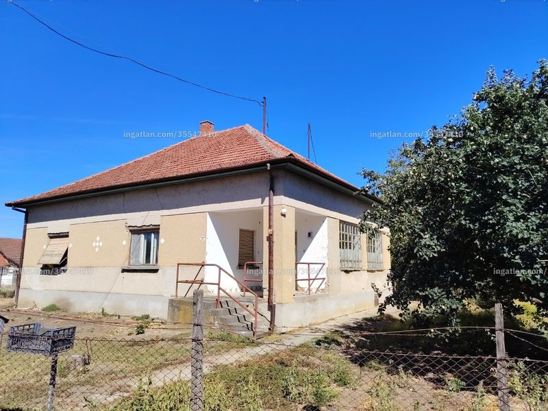Ingatlan kép