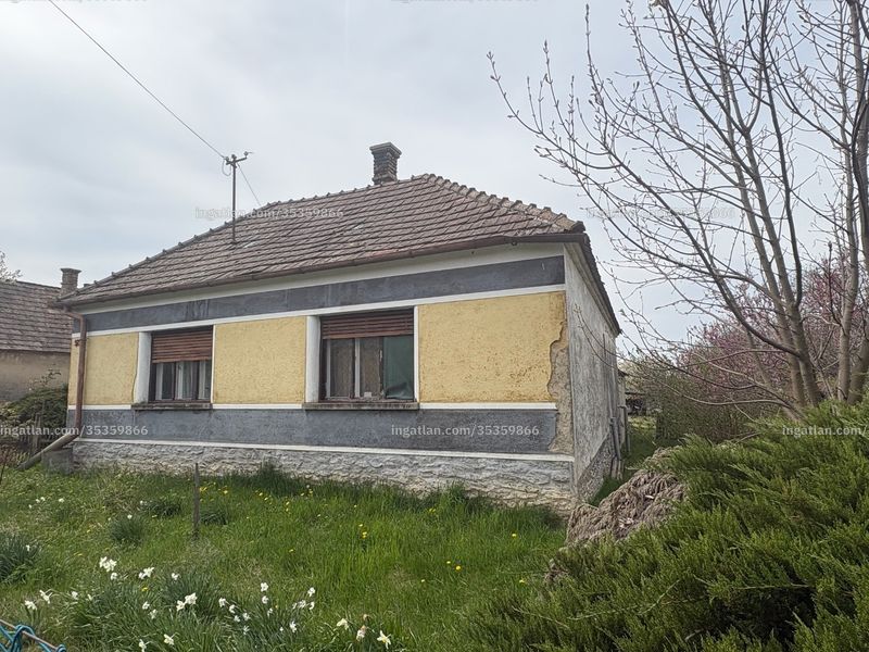 Ingatlan kép