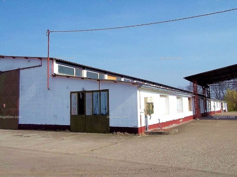 Ingatlan kép