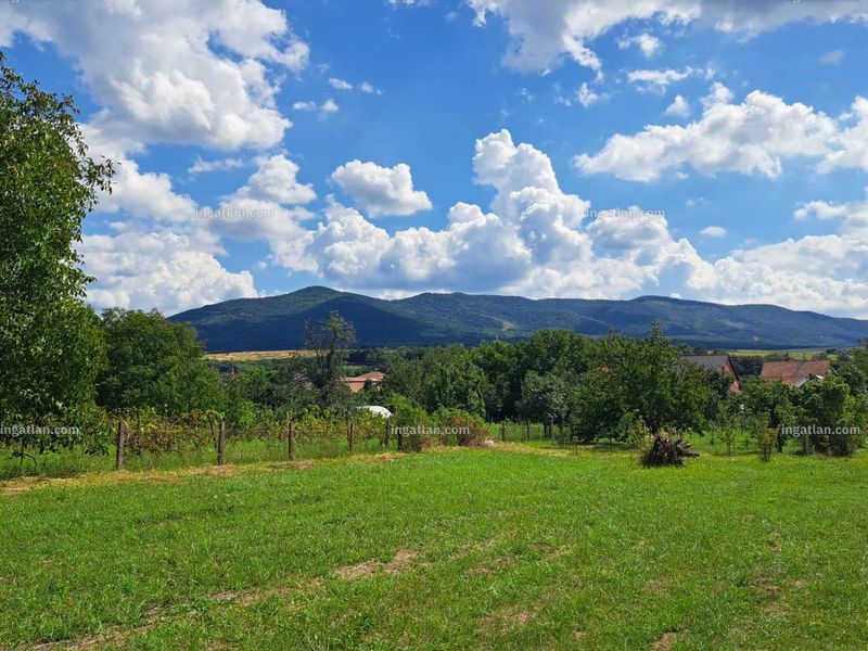 Ingatlan kép