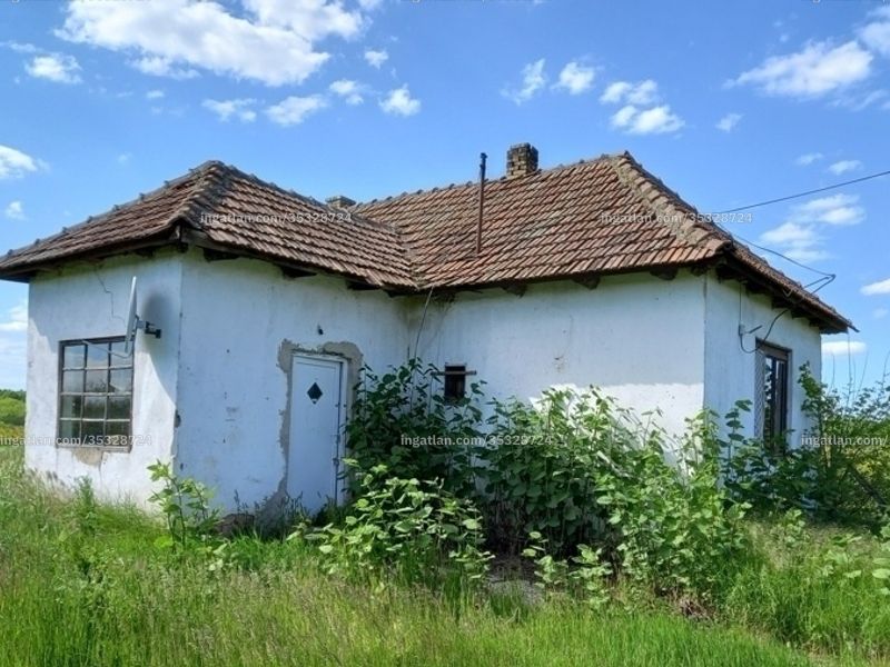 Ingatlan kép