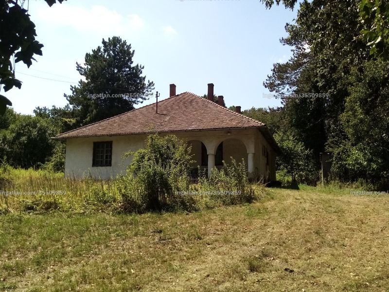 Ingatlan kép