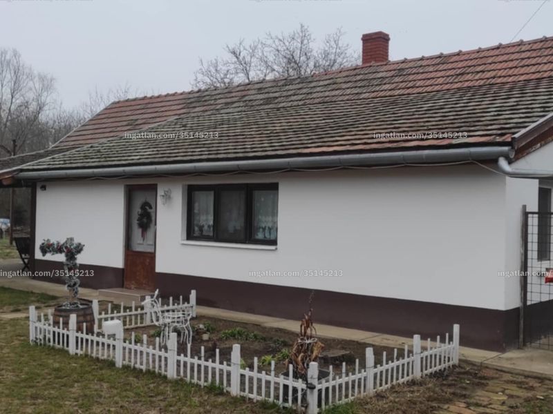 Ingatlan kép