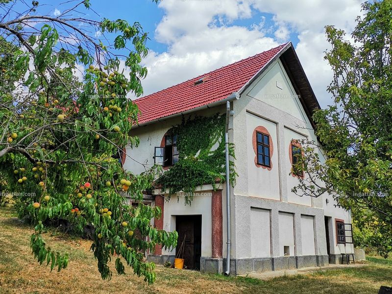 Ingatlan kép