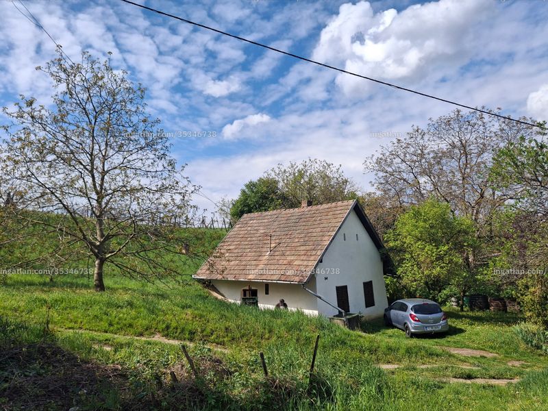 Ingatlan kép
