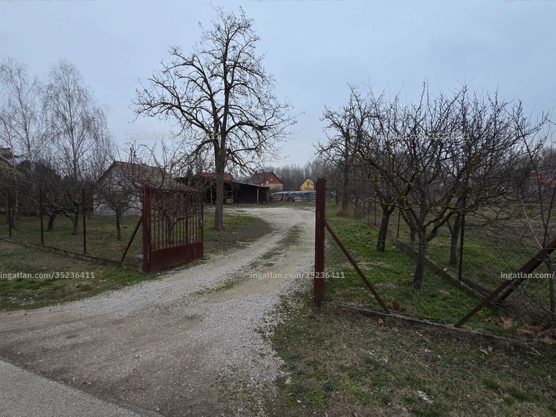 Ingatlan kép