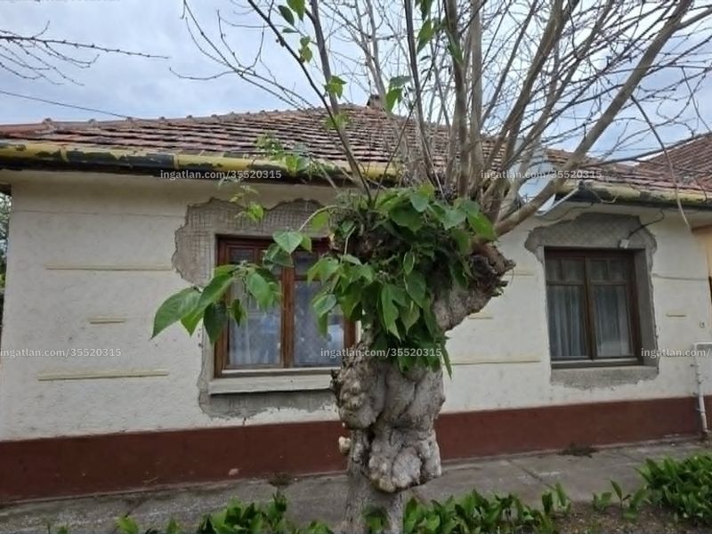 Ingatlan kép