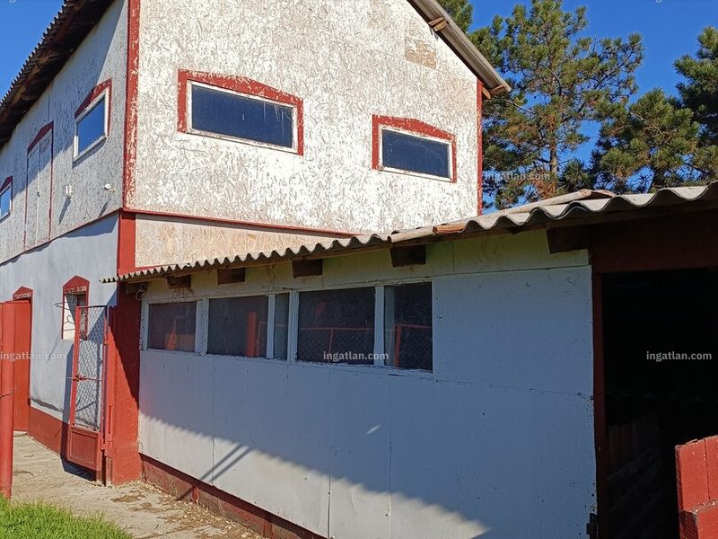 Ingatlan kép
