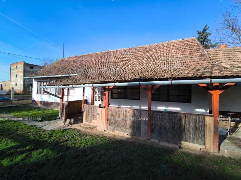 Ingatlan kép