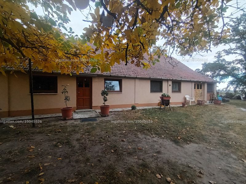 Ingatlan kép