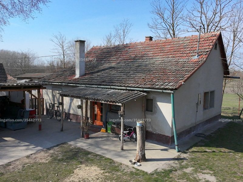 Ingatlan kép