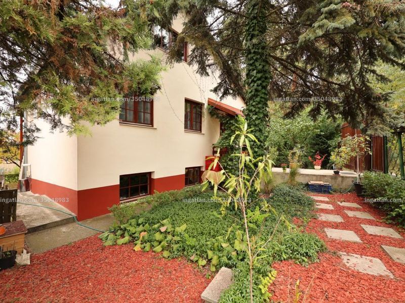 Ingatlan kép