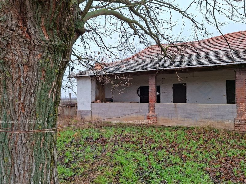 Ingatlan kép