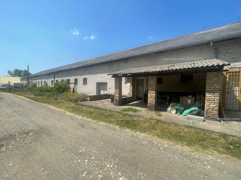 Ingatlan kép