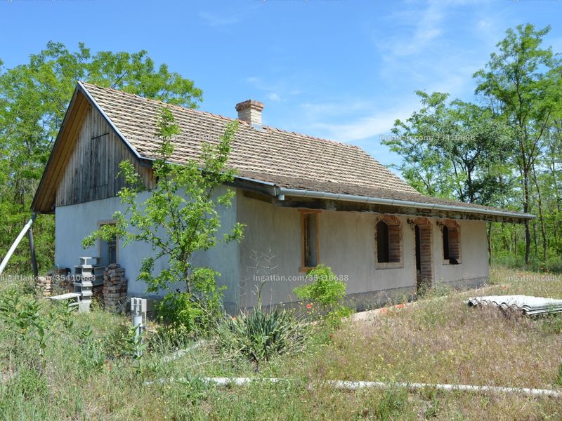 Ingatlan kép