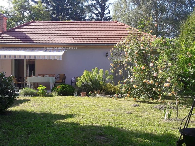 Ingatlan kép