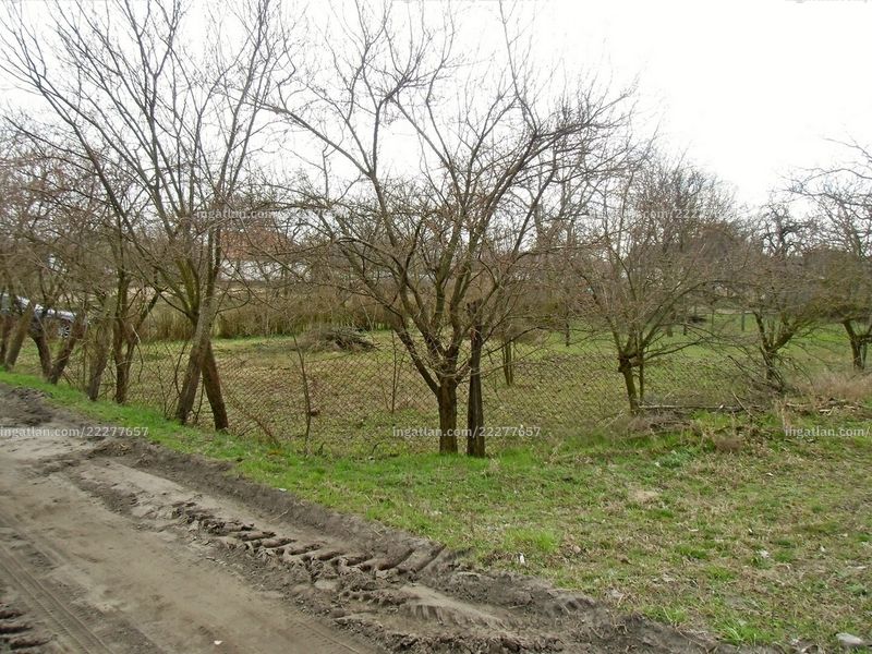 Ingatlan kép