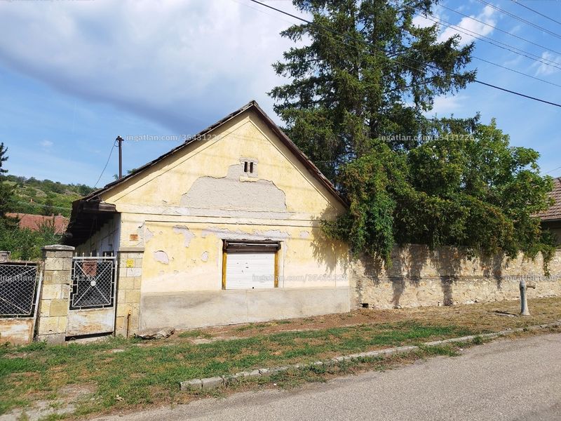 Ingatlan kép