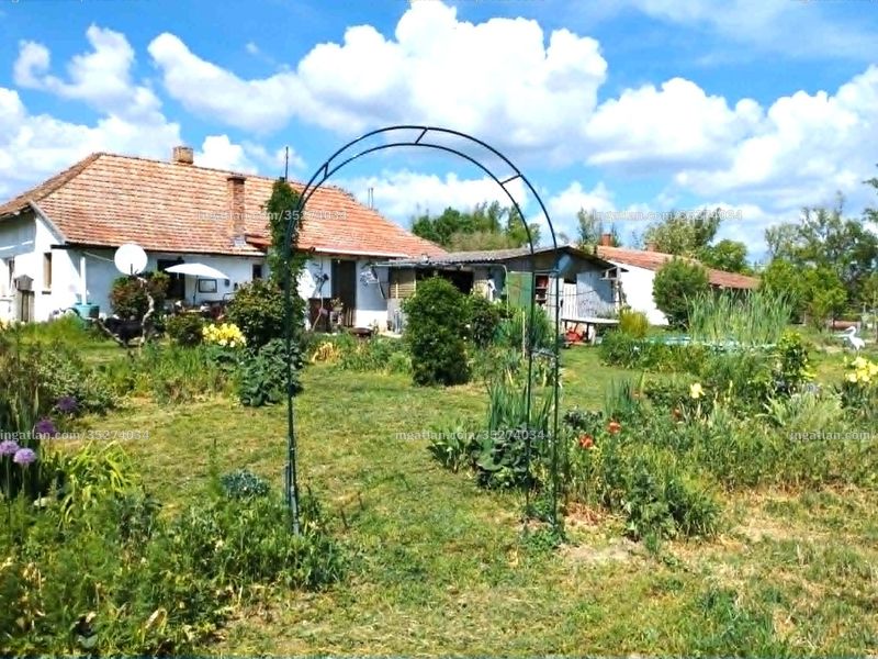 Ingatlan kép