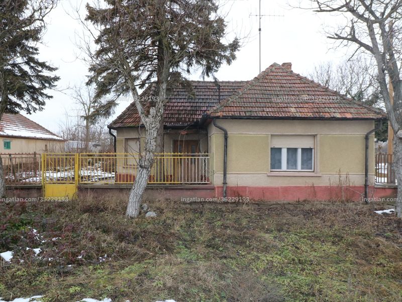 Ingatlan kép
