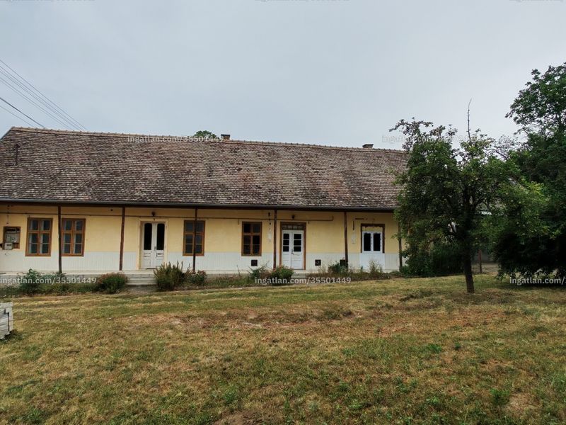 Ingatlan kép