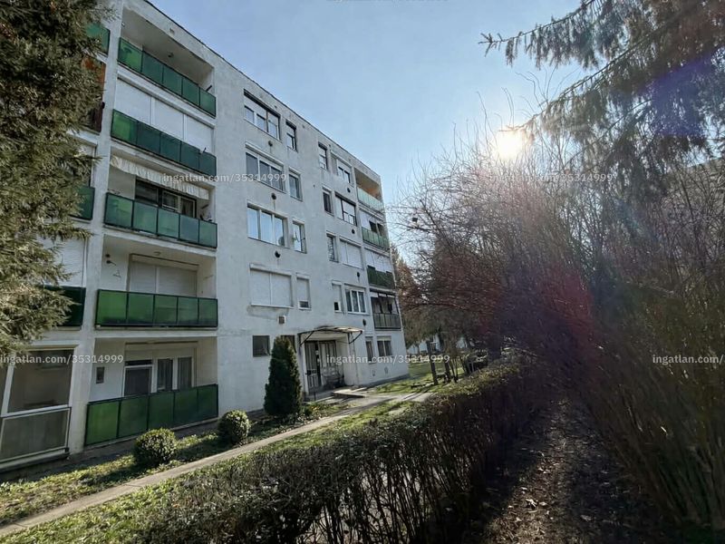 Ingatlan kép
