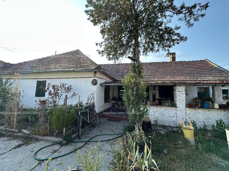 Ingatlan kép