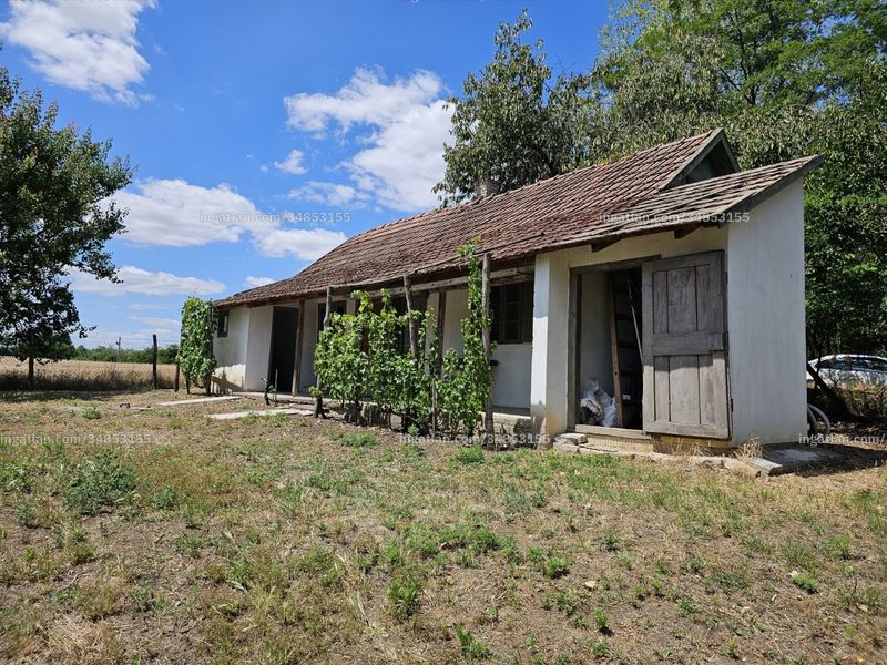 Ingatlan kép