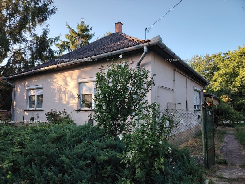 Ingatlan kép
