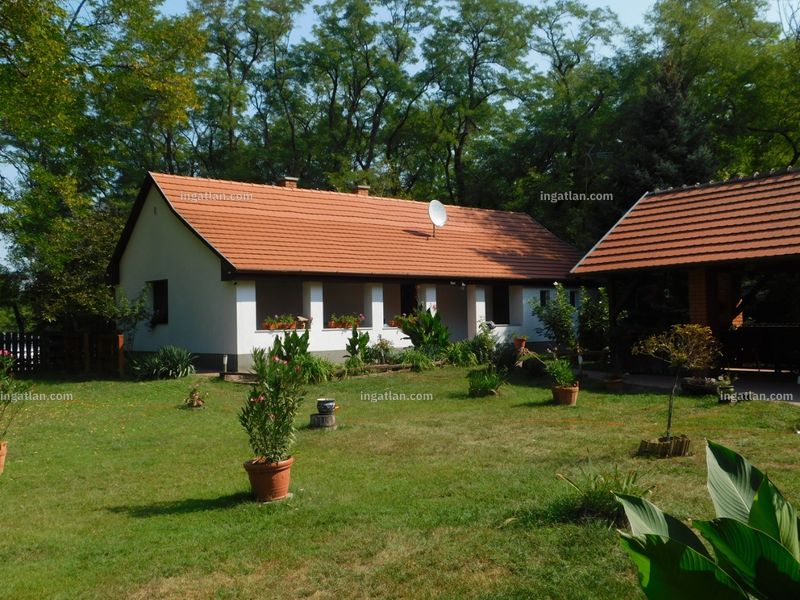 Ingatlan kép