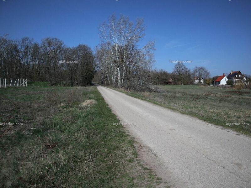 Ingatlan kép