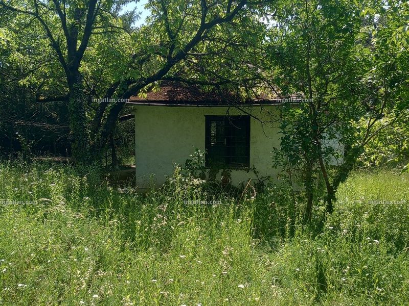 Ingatlan kép