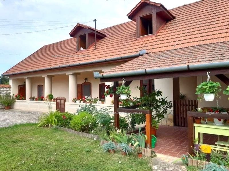 Ingatlan kép