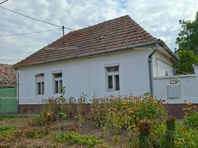 Ingatlan kép