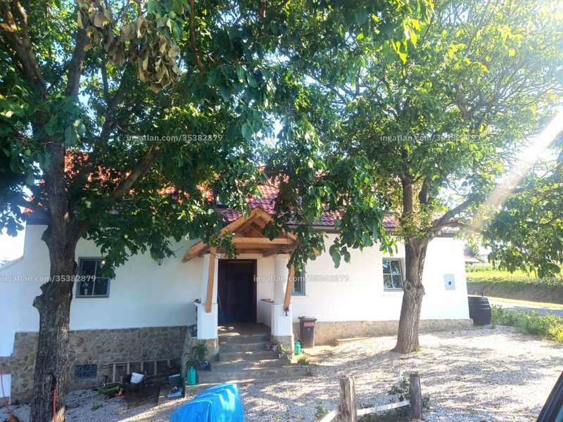Ingatlan kép