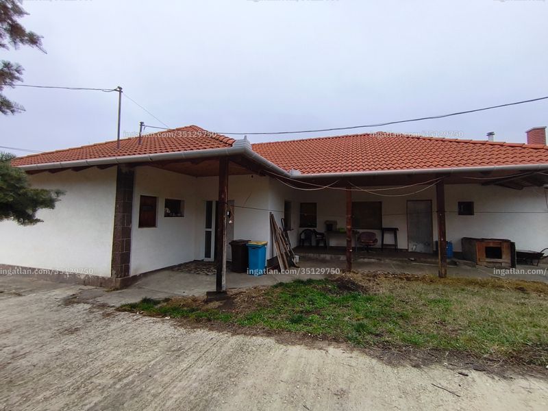Ingatlan kép