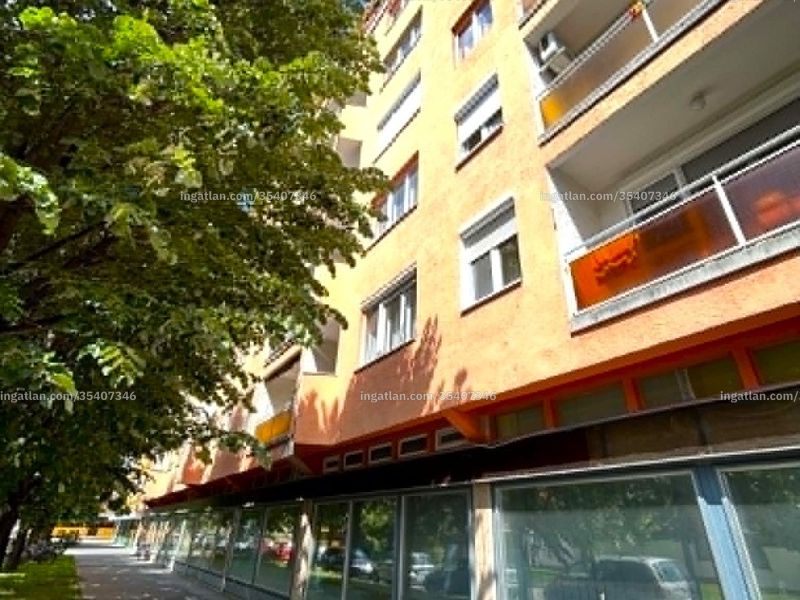 Ingatlan kép