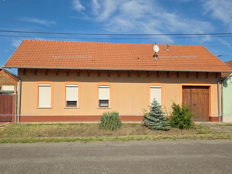 Ingatlan kép