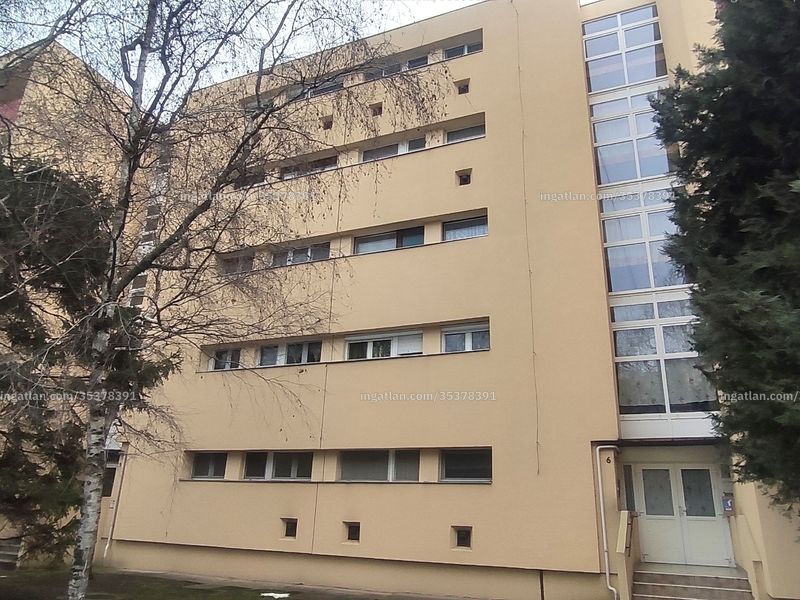 Ingatlan kép