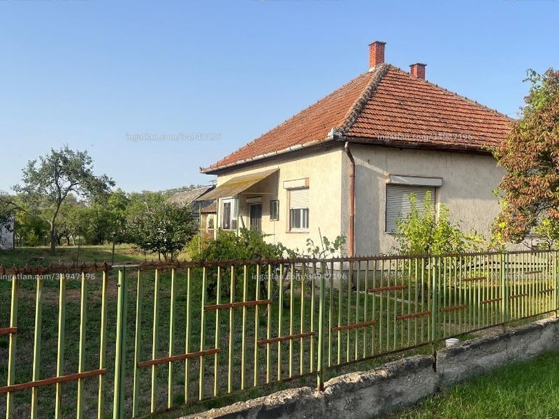 Ingatlan kép