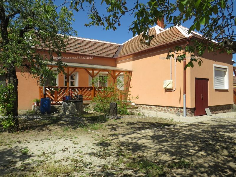 Ingatlan kép