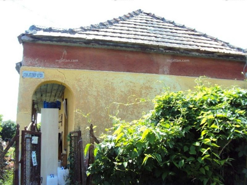 Ingatlan kép