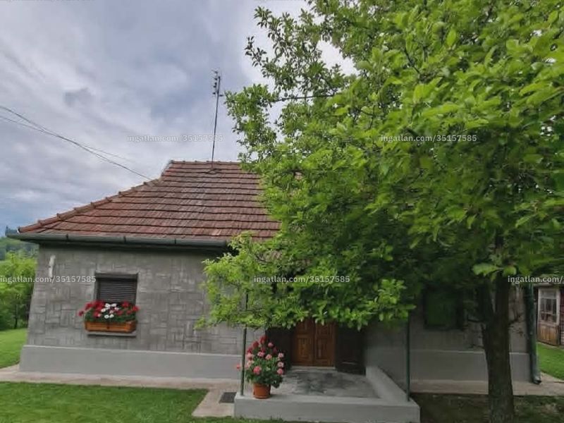 Ingatlan kép