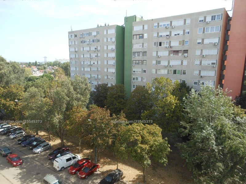 Ingatlan kép